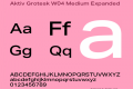 Aktiv Grotesk W04