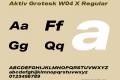 Aktiv Grotesk W04 X