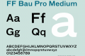 FF Bau Pro