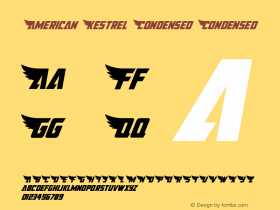 American Kestrel Condensed
