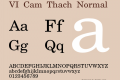 VI Cam Thach