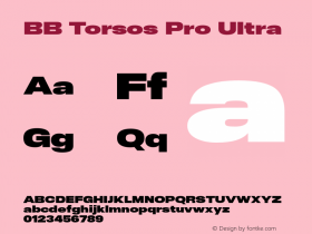 BB Torsos Pro