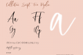 Callistera Script Free