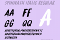 Spinwash Italic