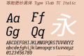 等距更纱黑体 Type Slab TC