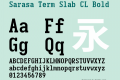 Sarasa Term Slab CL