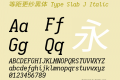 等距更纱黑体 Type Slab J