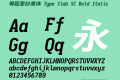 等距更纱黑体 Type Slab SC