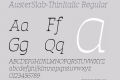 AusterSlab-ThinItalic