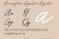 Birmingham Signature