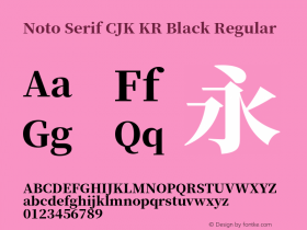 Noto Serif CJK KR Black