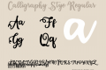 Calligraphy Stye