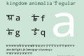 kingdom animalia