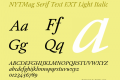 NYTMag Serif Text EXT
