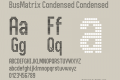 BusMatrix Condensed