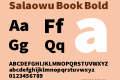 Salaowu Book