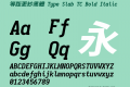 等距更紗黑體 Type Slab TC