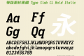 等距更紗黑體 Type Slab CL