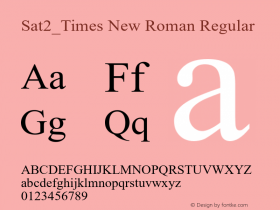 Sat2_Times New Roman