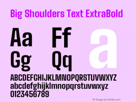 Big Shoulders Text