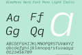 BlexMono Nerd Font Mono