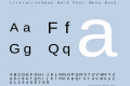 LiterationSans Nerd Font Mono