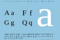 LiterationSerif Nerd Font Mono