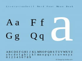 LiterationSerif Nerd Font Mono