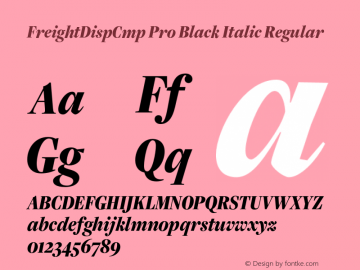 FreightDispCmp Pro Black Italic