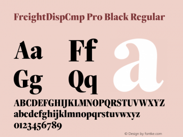 FreightDispCmp Pro Black