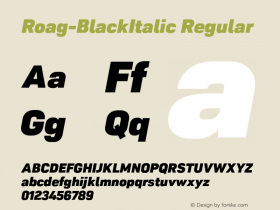 Roag-BlackItalic