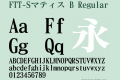 FTT-Sマティス B