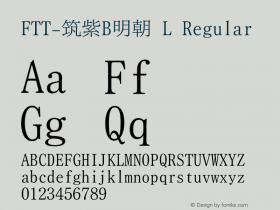 FTT-筑紫B明朝 L