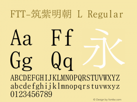 FTT-筑紫明朝 L