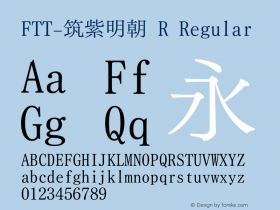 FTT-筑紫明朝 R