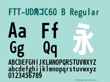 FTT-UD角ゴC60 B