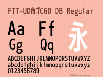 FTT-UD角ゴC60 DB