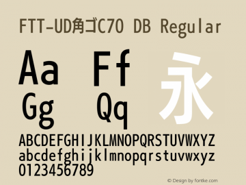 FTT-UD角ゴC70 DB