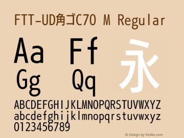 FTT-UD角ゴC70 M