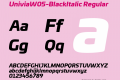 UniviaW05-BlackItalic