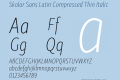 Skolar Sans Latin Compressed