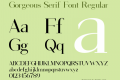 Gorgeous Serif Font