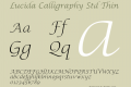 Lucida Calligraphy Std