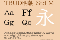 TBUD明朝 Std