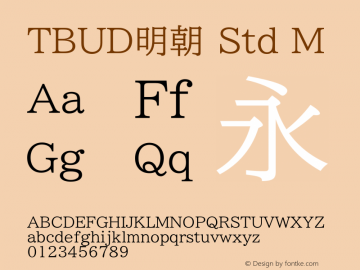 TBUD明朝 Std