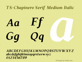 TS-Chapinero Serif