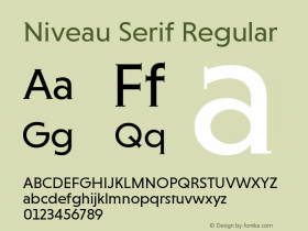 Niveau Serif