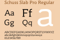 Schuss Slab Pro