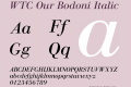 WTC Our Bodoni