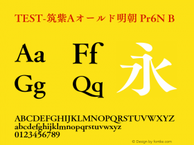 TEST-筑紫Aオールド明朝 Pr6N